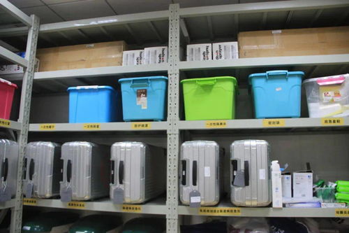 進(jìn)博會,閔行的防疫怎么做 看,獨家揭秘